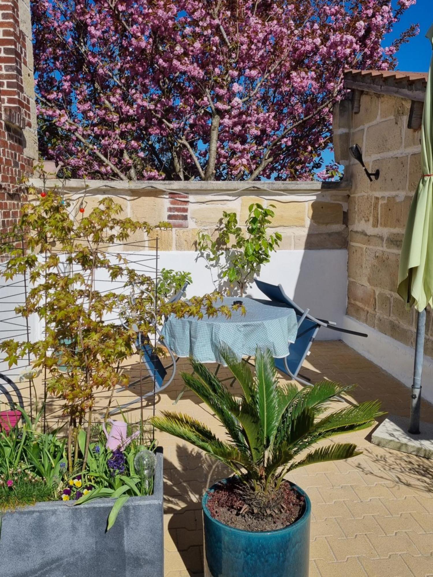 Appartamento Studio-terrasse Indépendants Entrée Autonome Proche Compiègne A1